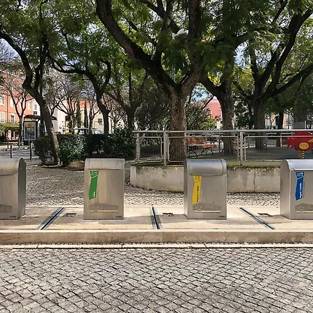 Between Historical Monuments 아파트 리스본